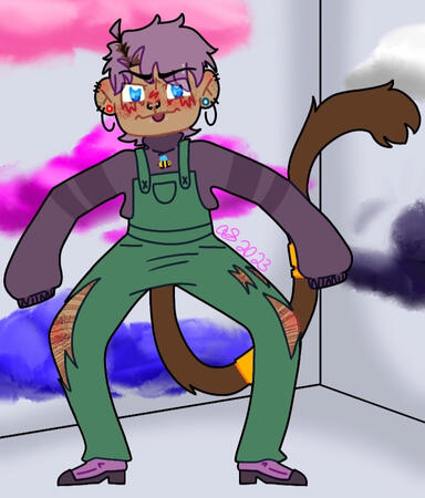 Single person (flat and full) + full = 7