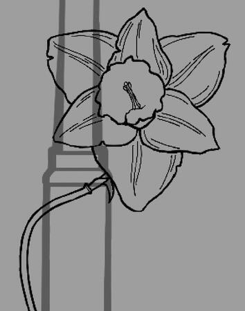 Daffodil (wip) = 15